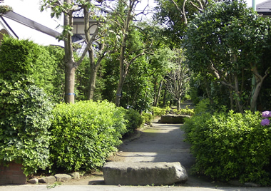 緑豊かなまちなみづくりに貢献する | 地域を愛しむ